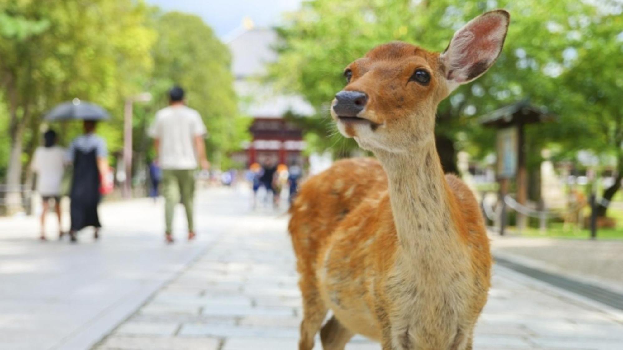 Hotel Arashi Nambaminami Ōsaka Eksteriør bilde